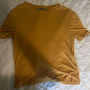 Brown ZARA  Top